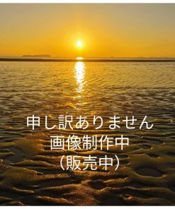 LEGEND WALKER スーツケース キャリーバッグ キャリーケース 2輪 TSAロック PC100% 軽量細フレーム 31L 6200